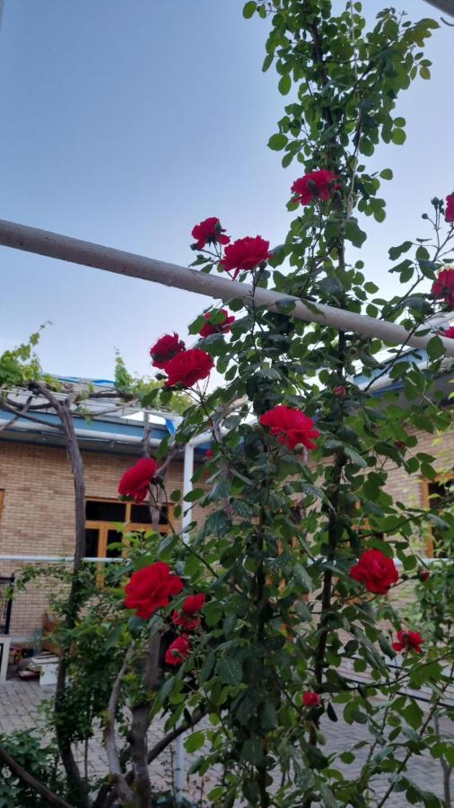 Hostel Muborak Samarkand Esterno foto
