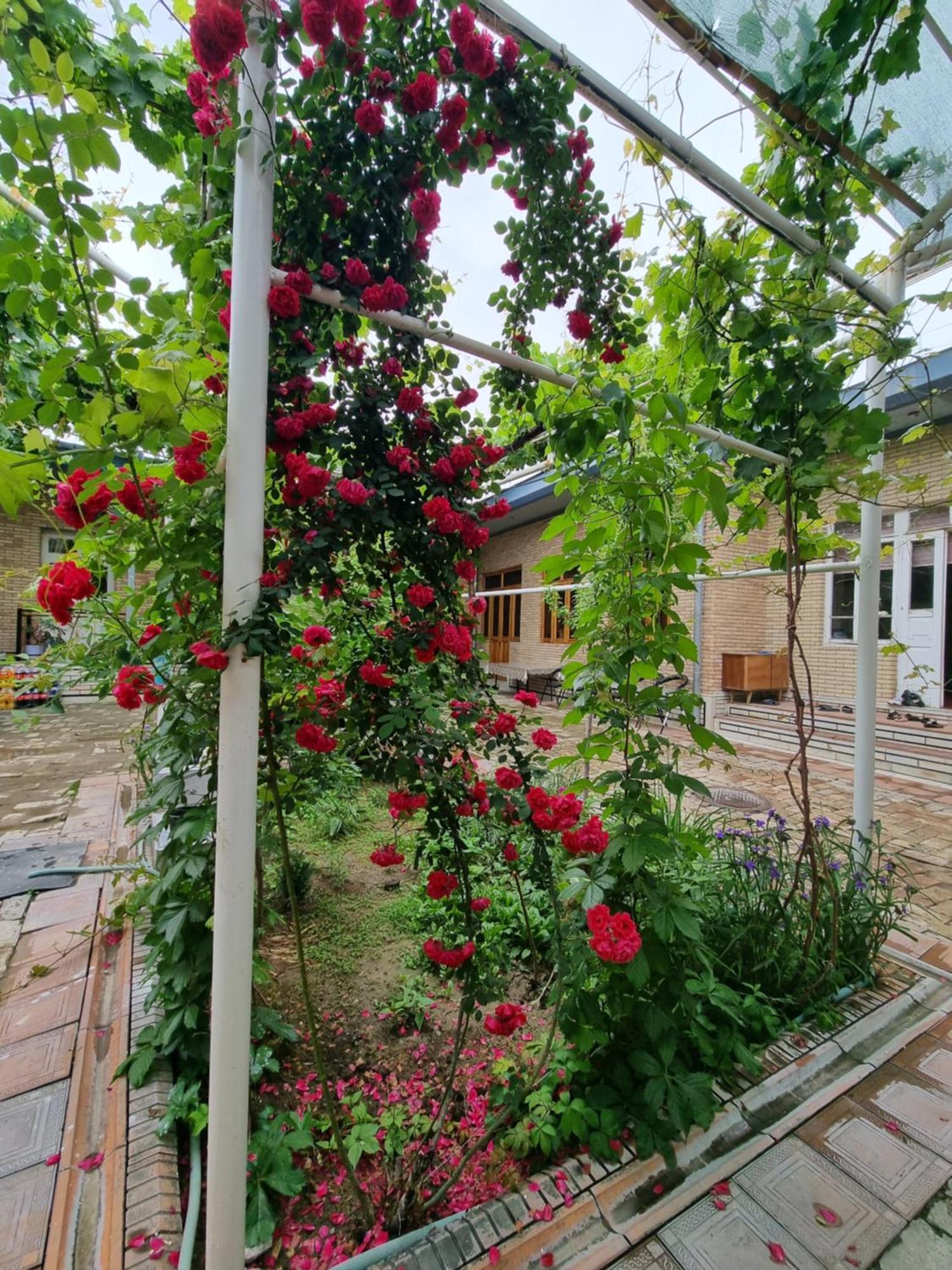 Hostel Muborak Samarkand Esterno foto