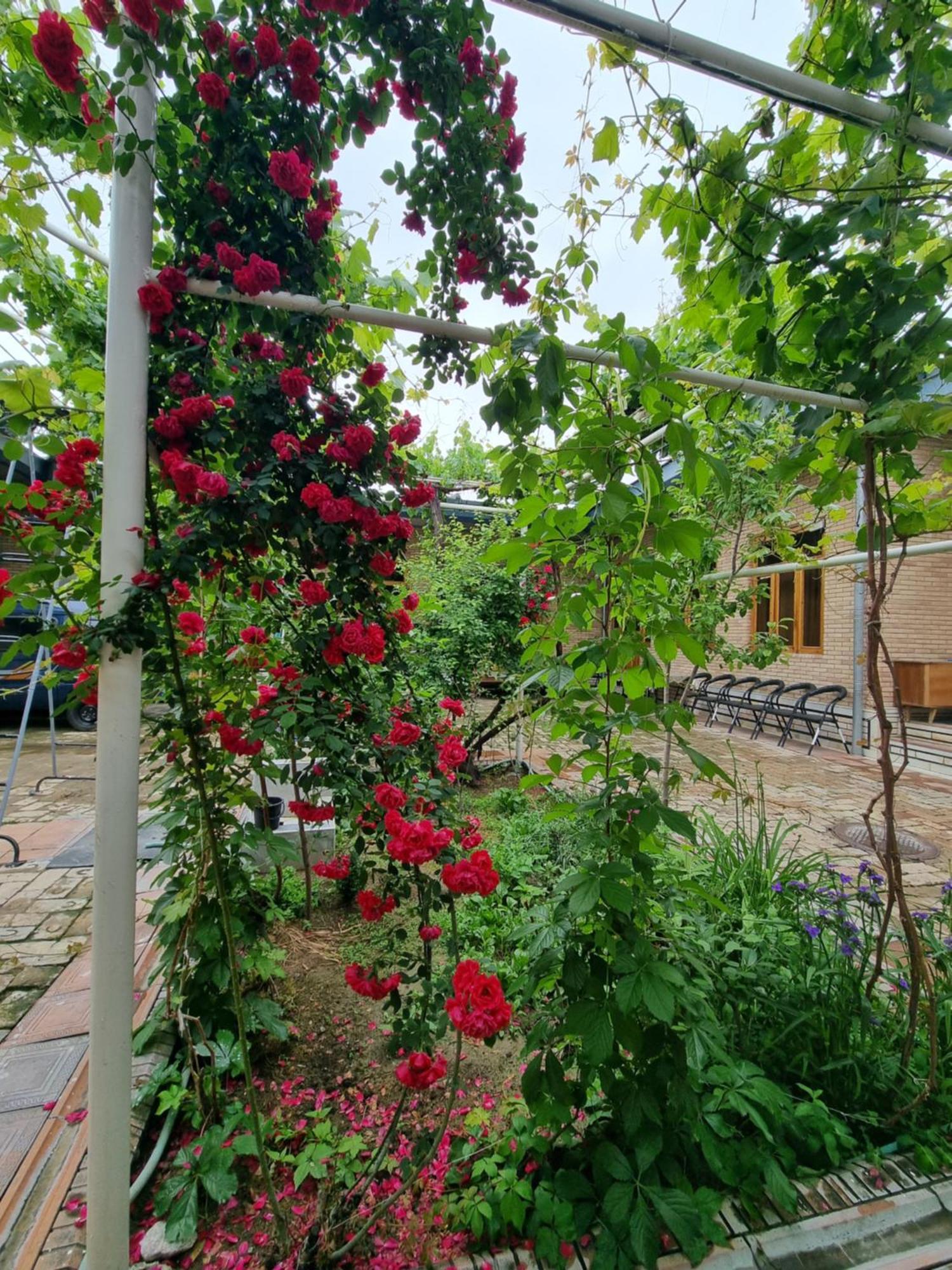 Hostel Muborak Samarkand Esterno foto